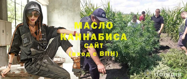 соль ск Алексин