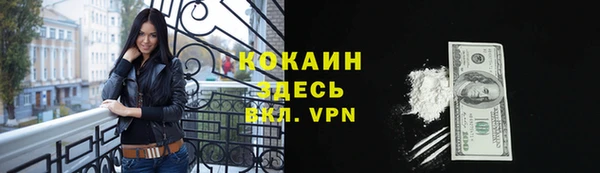 соль ск Алексин
