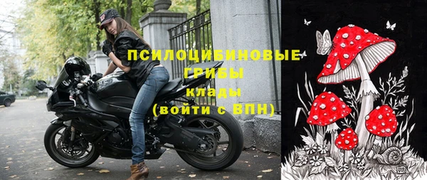 a pvp Алзамай