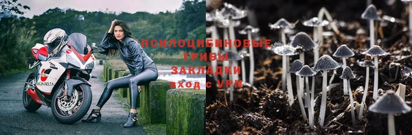 a pvp Алзамай