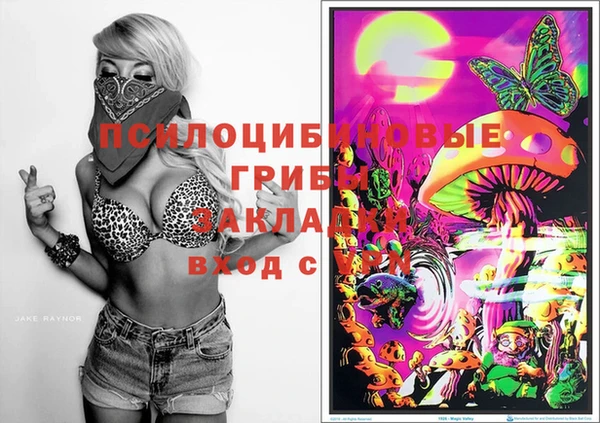 дмт Алексеевка