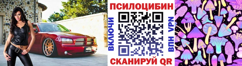 Псилоцибиновые грибы прущие грибы  что такое наркотик  Бежецк 