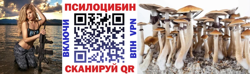 Галлюциногенные грибы мухоморы Бежецк